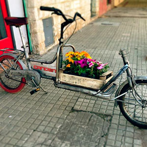 Bici cargo Canden